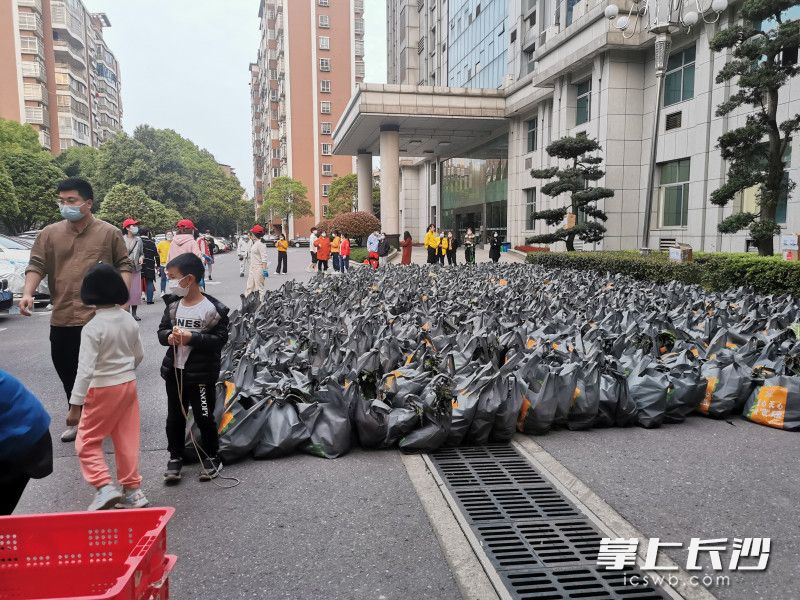 780份蔬菜包送到了湘林小區院內。長(cháng)沙晚報實(shí)習生 羅楊 攝